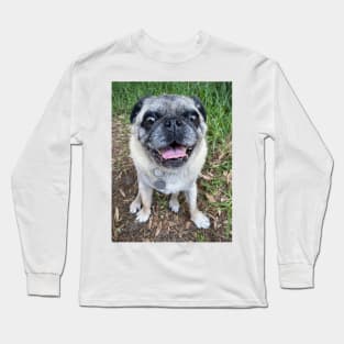 Cute pug dog sitting near grass Long Sleeve T-Shirt